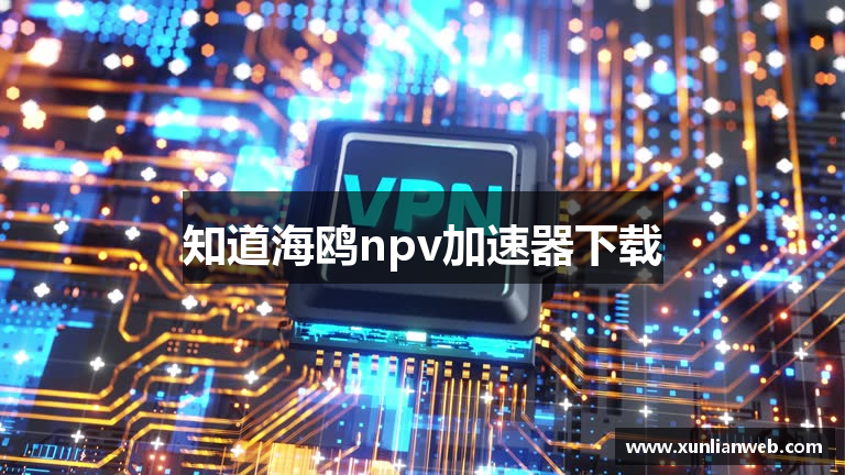 知道海鸥npv加速器下载