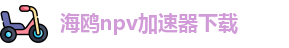 海鸥npv加速器下载